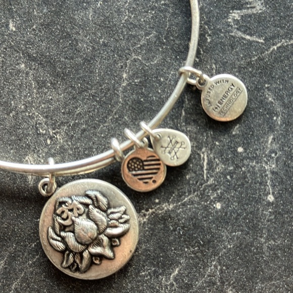 Alex and Ani Lotus Peace Petals III Expandable Rafaelian Bangle Bracelet - Picture 4 of 4